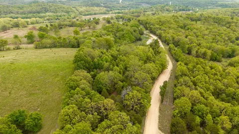 291 County Road 804, Gainesville, MO 65655 photo 7