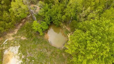 291 County Road 804, Gainesville, MO 65655 photo 5