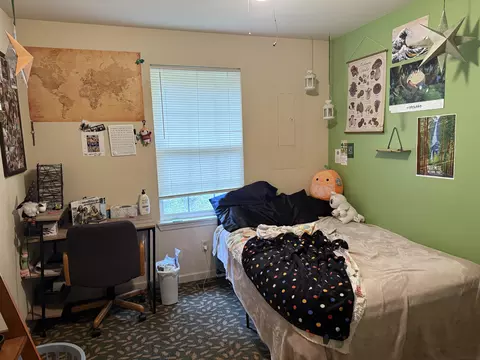 Bedroom - 167-169 Oak Hill St, Forsyth, MO 65653 photo 7 of 7