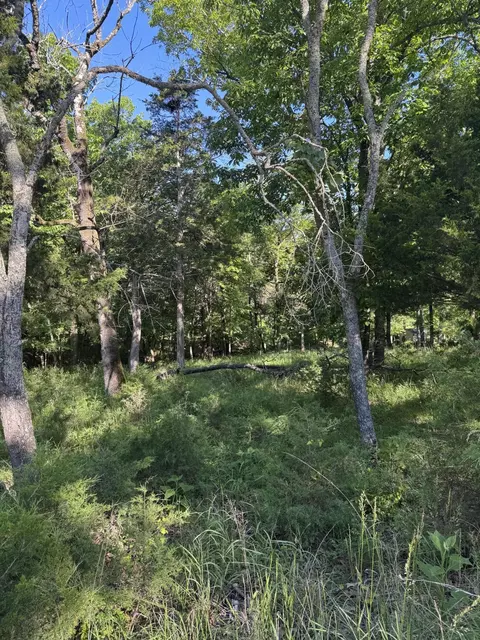 lot85 Cliff Dr, Golden, MO 65658