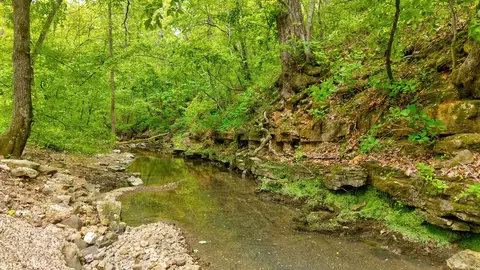 000 Woodland Dr, Hartville, MO 65667