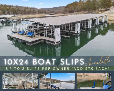 Other - 455 Eagle Dr, Reeds Spring, MO 65737 photo 9 of 18