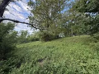 1373 E 470th Rd, Bolivar, MO 65613 photo 11