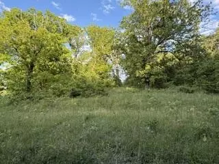 1373 E 470th Rd, Bolivar, MO 65613 photo 14