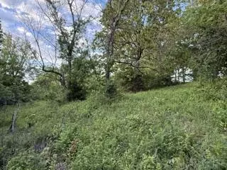 1373 E 470th Rd, Bolivar, MO 65613 photo 10