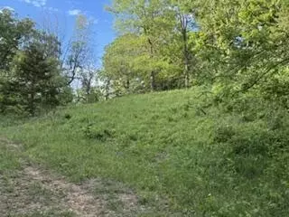 1373 E 470th Rd, Bolivar, MO 65613 photo 7