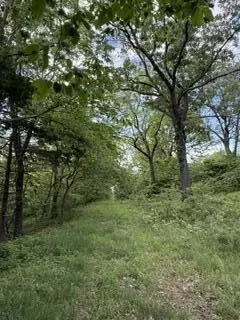 1373 E 470th Rd, Bolivar, MO 65613 photo 5