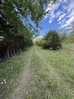 1373 E 470th Rd, Bolivar, MO 65613 photo 3
