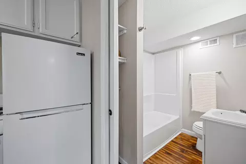 Bath - 660 Ellison St, Branson, MO 65616 photo 6 of 6