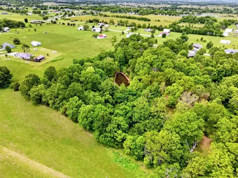 View/Area - 300 Alice Pl, Ozark, MO 65721 photo 6 of 8