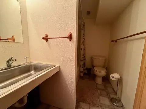 Bath - 786 County Road 434, Mountain View, MO 65548 photo 7 of 8
