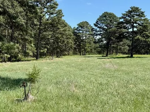 Other - 786 County Road 434, Mountain View, MO 65548 photo 26 of 43
