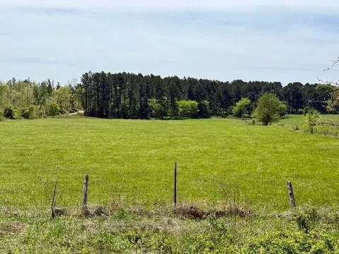 Other - 786 County Road 434, Mountain View, MO 65548 photo 30 of 43