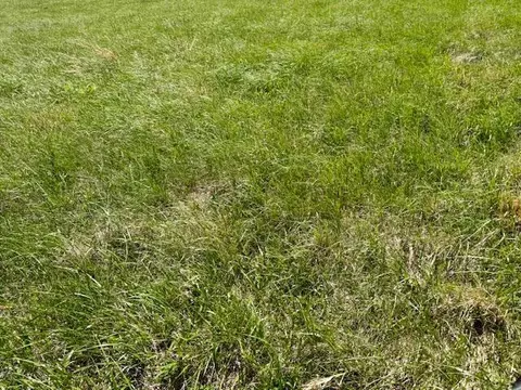 Other - 786 County Road 434, Mountain View, MO 65548 photo 22 of 43