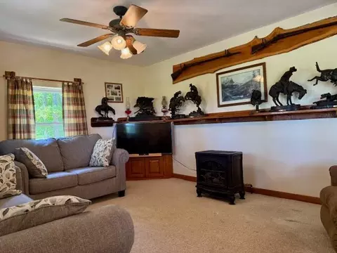 Living - 786 County Road 434, Mountain View, MO 65548 photo 3 of 4