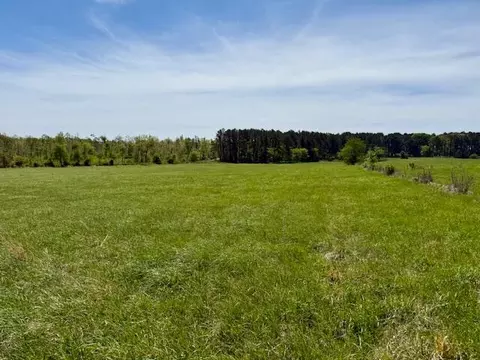 Other - 786 County Road 434, Mountain View, MO 65548 photo 29 of 43