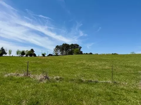 Other - 786 County Road 434, Mountain View, MO 65548 photo 41 of 43