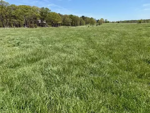 Exterior - 786 County Road 434, Mountain View, MO 65548 photo 8 of 9