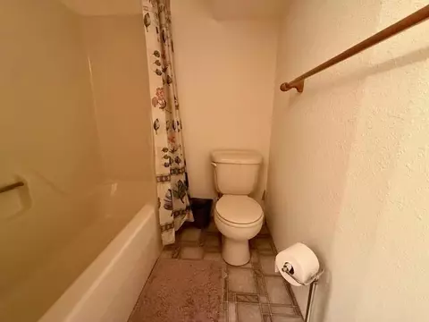 Bath - 786 County Road 434, Mountain View, MO 65548 photo 8 of 8