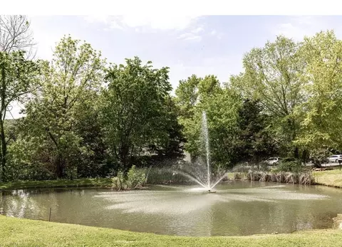 View/Area - 260 Meadow Ridge Ln #9-2, Branson, MO 65616 photo 1 of 1
