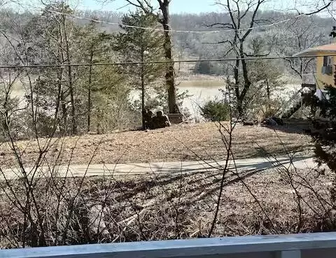 View/Area - 23188 Farm Road 1245, Shell Knob, MO 65747 photo 1 of 11