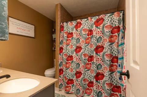 Bath - 660 Big Bear Ct, Marshfield, MO 65706 photo 1 of 4