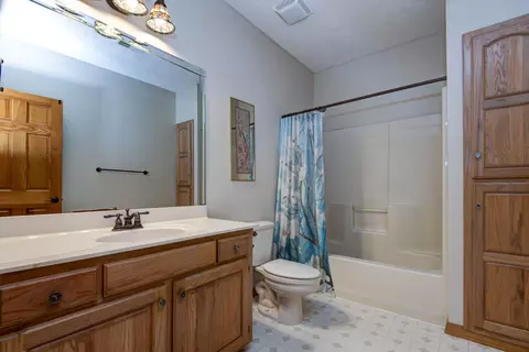 Bath - 128 Green Oaks Dr, Ozark, MO 65721 photo 7 of 7