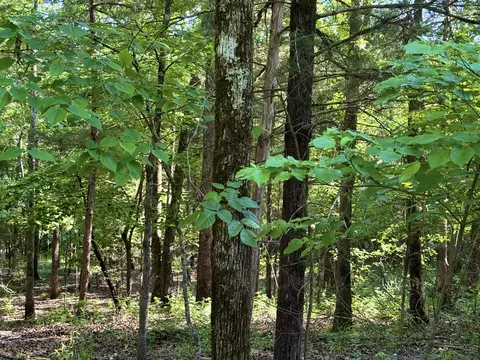 lot S 40 Cedar Ln, Rockaway Beach, MO 65740