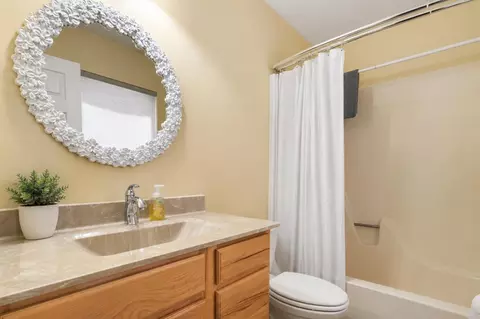 Bath - 7 Treehouse Ln #2, Branson, MO 65616 photo 2 of 3