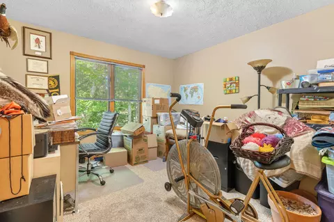 Other - 379 Turkey Tree Rd, Galena, MO 65656 photo 6 of 6