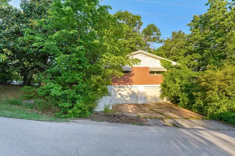 Other - 116 Mcclintic Ave, Forsyth, MO 65653 photo 4 of 9