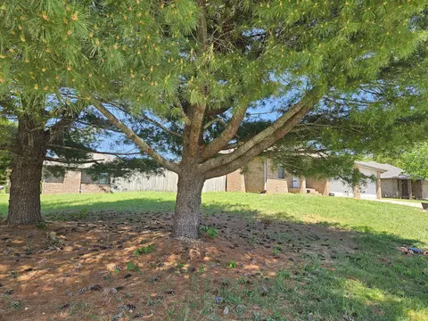 601 W Warren Ave, Ozark, MO 65721 photo 6