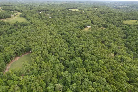 View/Area - 10550 State Highway A #TRACT 2, Crane, MO 65633 photo 6 of 10