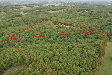 Other - 10550 State Highway A #TRACT 2, Crane, MO 65633 photo 19 of 21