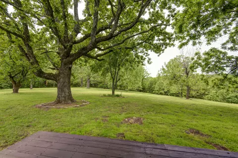 Exterior - 10550 State Highway A #TRACT 2, Crane, MO 65633 photo 6 of 12