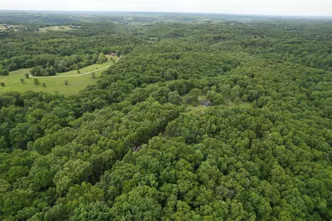 View/Area - 10550 State Highway A #TRACT 2, Crane, MO 65633 photo 3 of 10