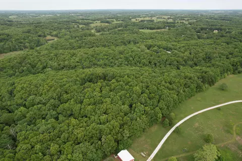 View/Area - 10550 State Highway A #TRACT 2, Crane, MO 65633 photo 4 of 10