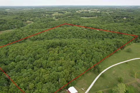 Other - 10550 State Highway A #TRACT 2, Crane, MO 65633 photo 18 of 21