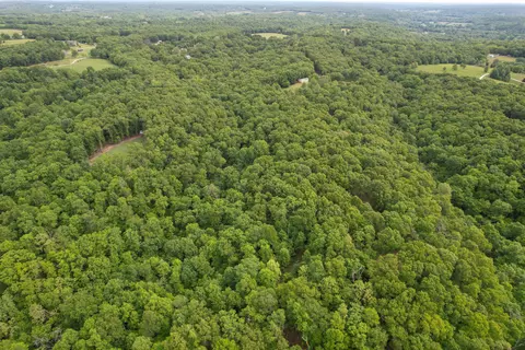 View/Area - 10550 State Highway A #TRACT 2, Crane, MO 65633 photo 7 of 10