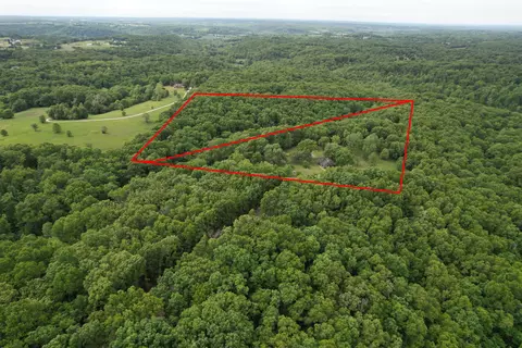 Other - 10550 State Highway A #TRACT 2, Crane, MO 65633 photo 17 of 21