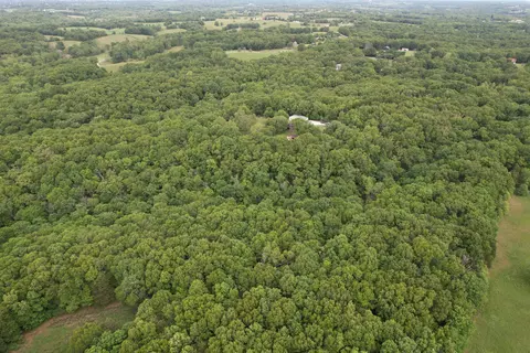 View/Area - 10550 State Highway A #TRACT 2, Crane, MO 65633 photo 5 of 10