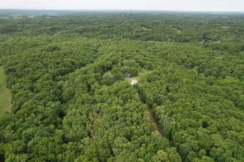 View/Area - 10550 State Highway A #TRACT 2, Crane, MO 65633 photo 2 of 10