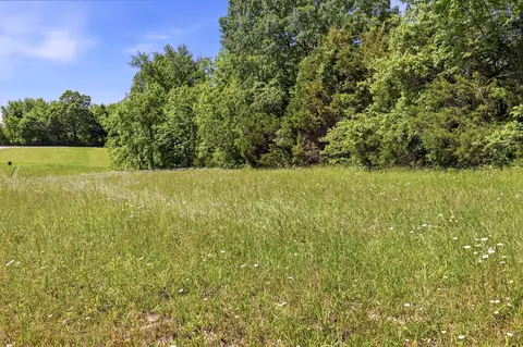 000 Oldfield Rd, Oldfield, MO 65720 photo 6