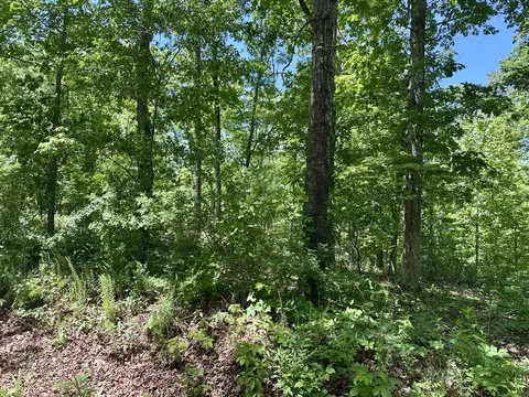 000 Bass Rock Lot 3 Dr, Van Buren, MO 63965
