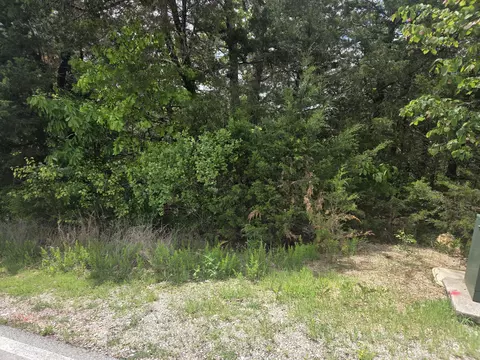 178 Black Forest Ln, Reeds Spring, MO 65737 photo 2