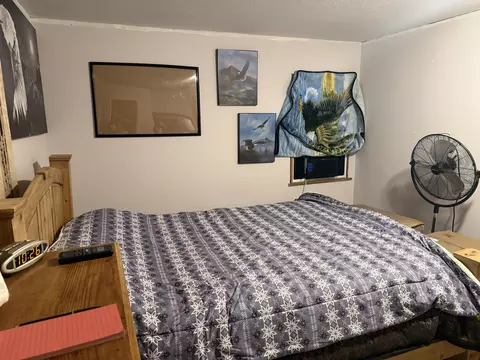 Bedroom - 105 Walker Ct, Exeter, MO 65647 photo 6 of 6