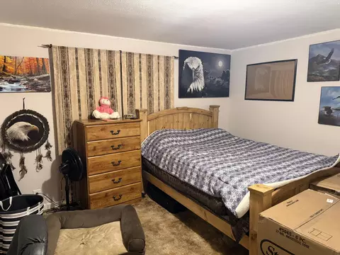 Bedroom - 105 Walker Ct, Exeter, MO 65647 photo 5 of 6