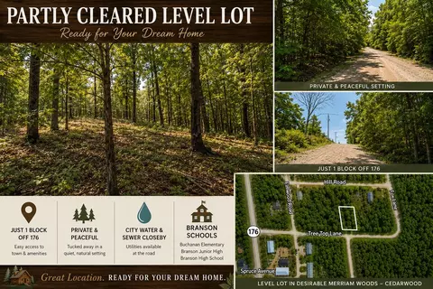 000 Tree Top Ln, Merriam Woods, MO 65740