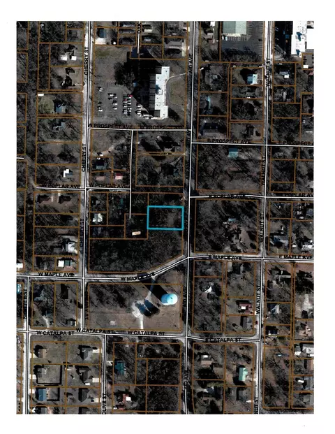 505 S Aid Ave, West Plains, MO 65775