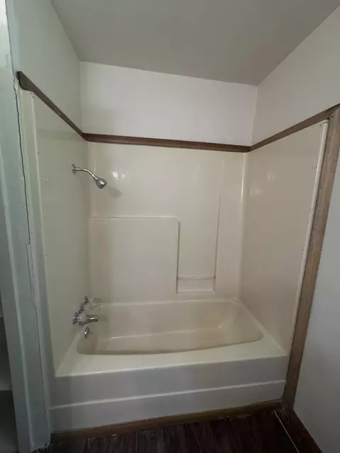 Bath - 309 E Webster Ave, Ava, MO 65608 photo 2 of 4